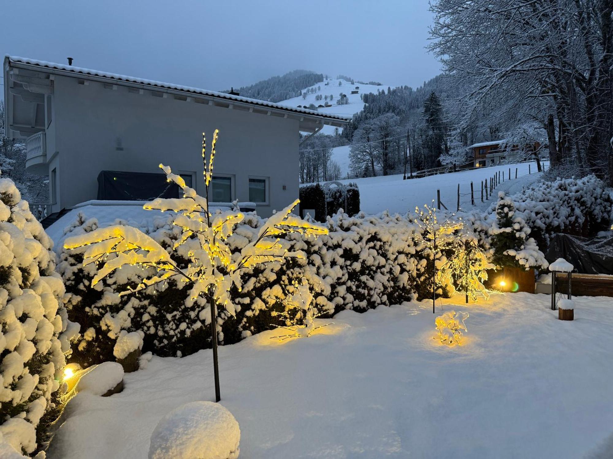 Luxus Ferienwohnung Almhuette Brixen im Thale Exterior photo